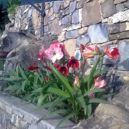 Miramare 3* ディアーノ・マリーナ